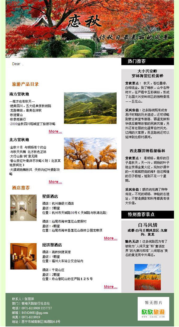 Newsletter模板（Newsletters案例）展示